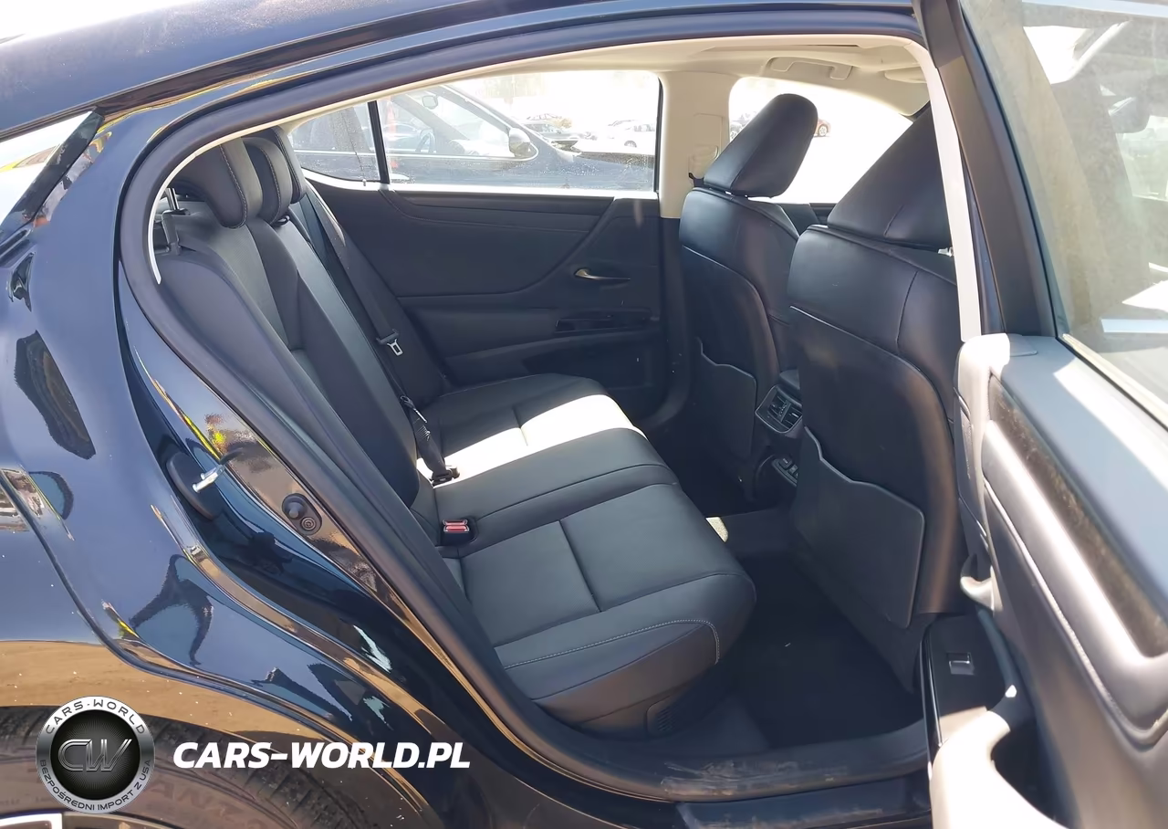 2024 Lexus Es 300H VIN:58ADA1C10RU047841 - 8
