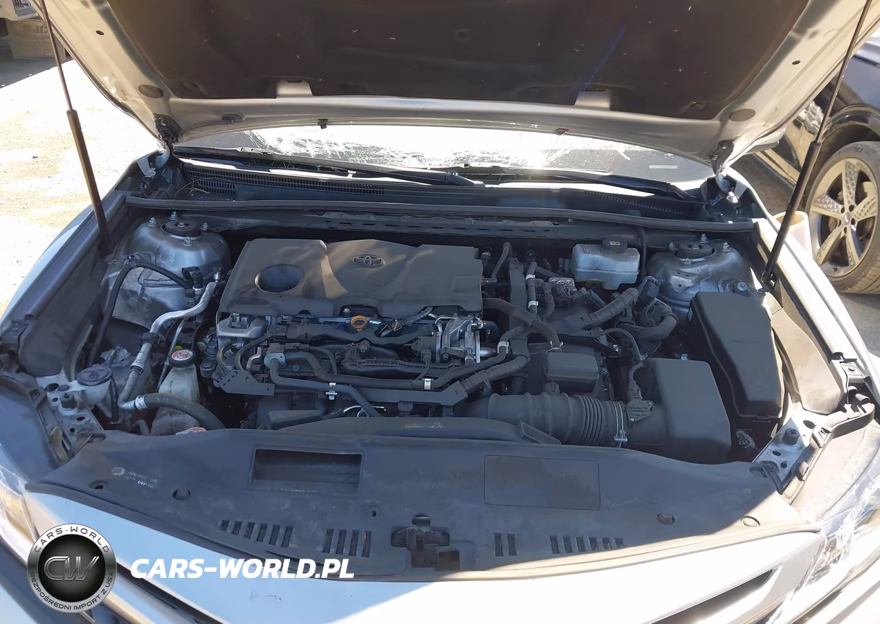 2020 Toyota Camry Se Hybrid VIN:4T1G31AK3LU016939 - 10