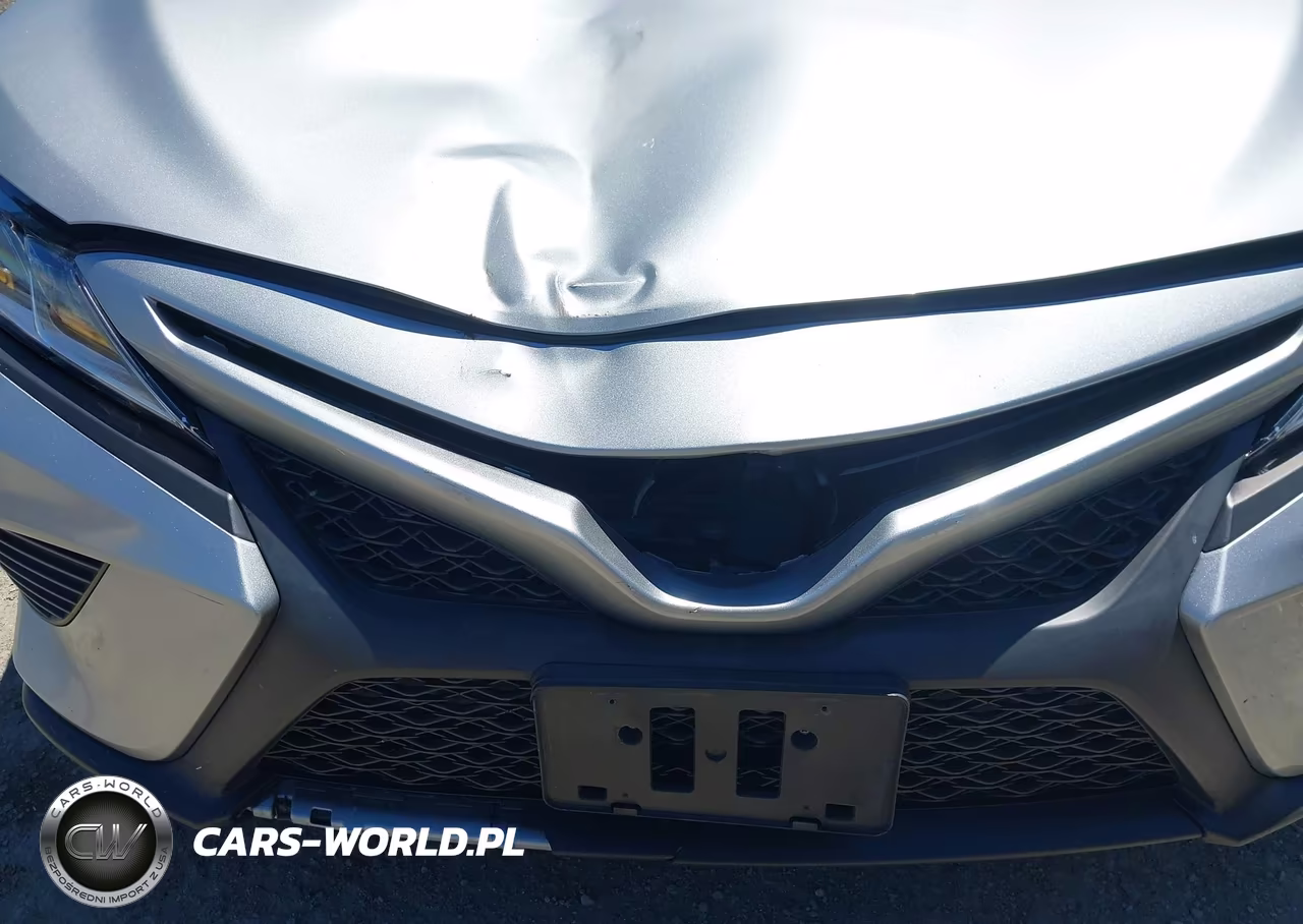 2020 Toyota Camry Se Hybrid VIN:4T1G31AK3LU016939 - 12