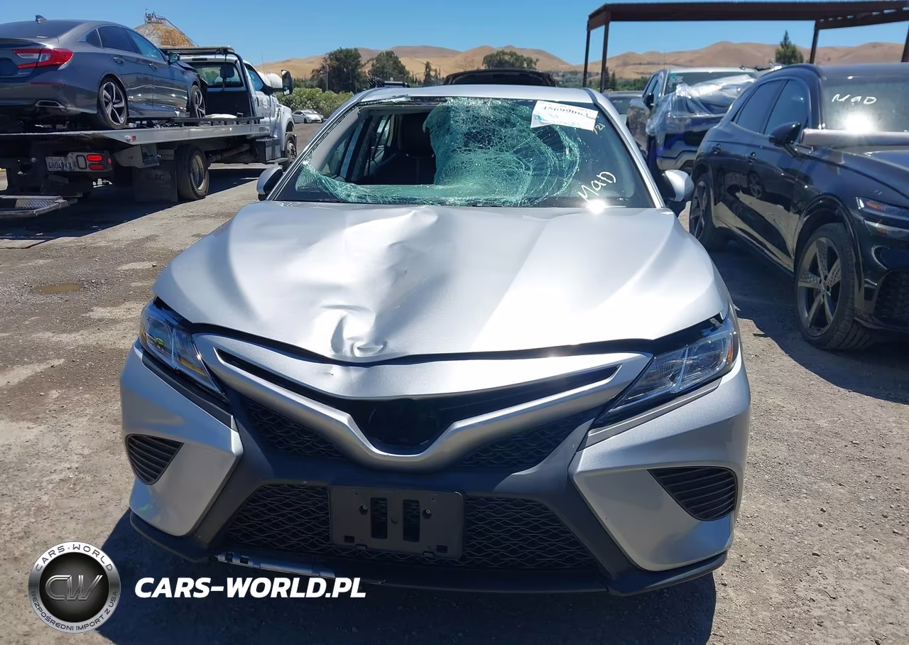 2020 Toyota Camry Se Hybrid VIN:4T1G31AK3LU016939 - 16