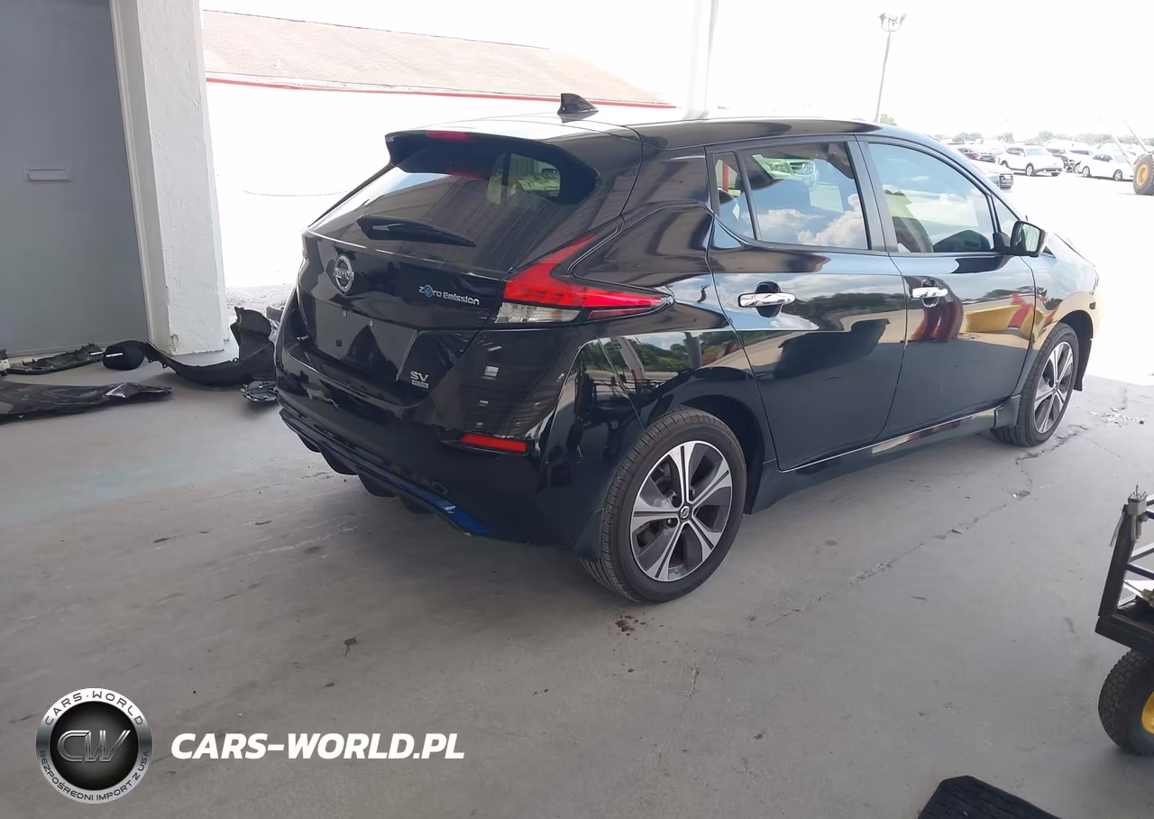 2020 Nissan Leaf Sv Plus 62 Kwh VIN:1N4BZ1CP5LC309971 - 4