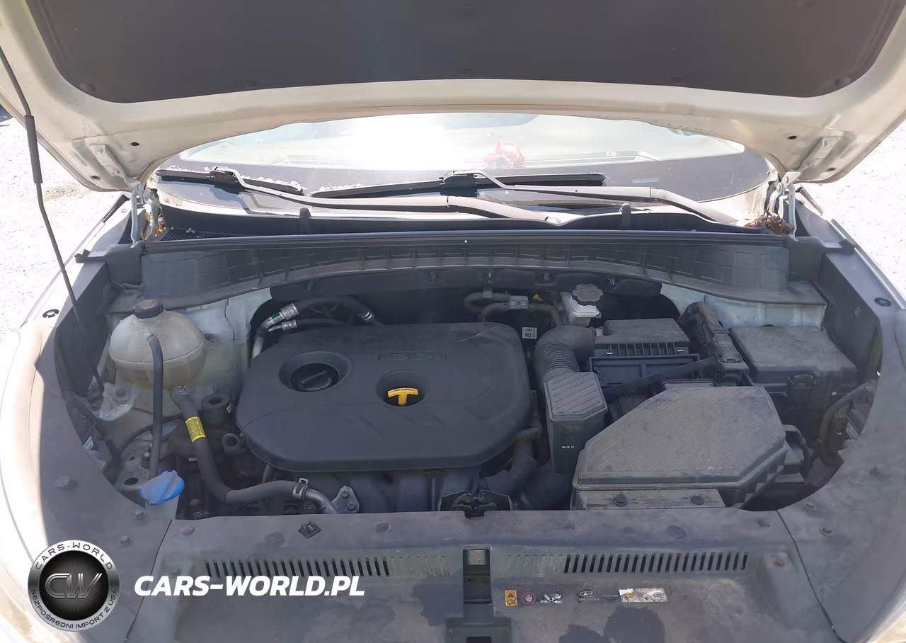 2019 Hyundai Tucson Se VIN:KM8J2CA49KU851092 - 10