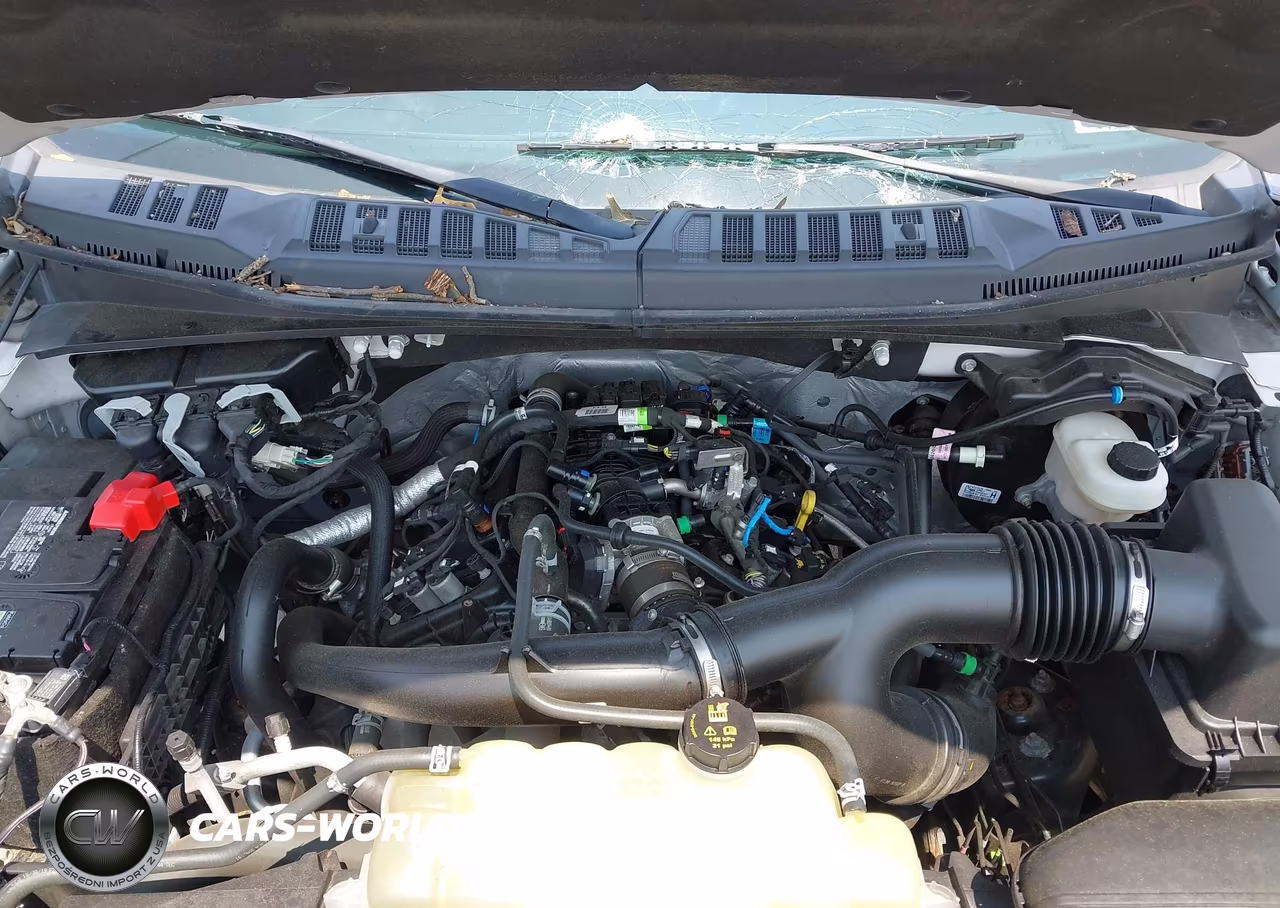 2020 Ford F-150 Xlt VIN:1FTEW1EP0LFA53136 - 10