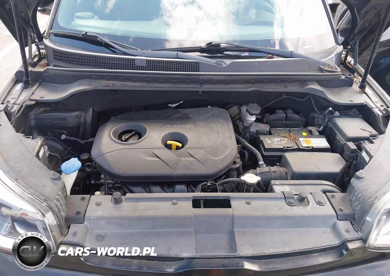 KIA SOUL + VIN:KNDJP3A59J7547966 - 10