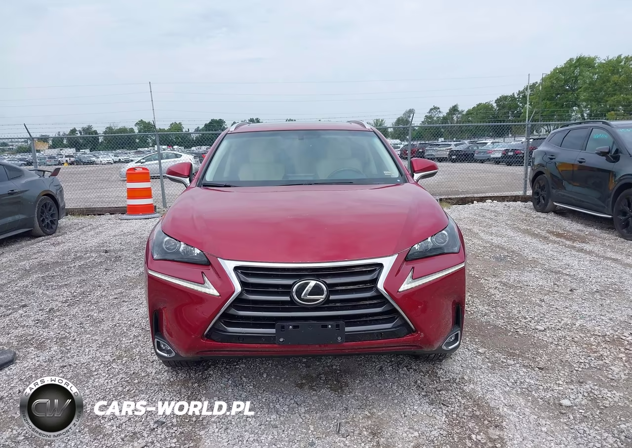 2017 Lexus Nx 200T VIN:JTJBARBZXH2126353 - 13