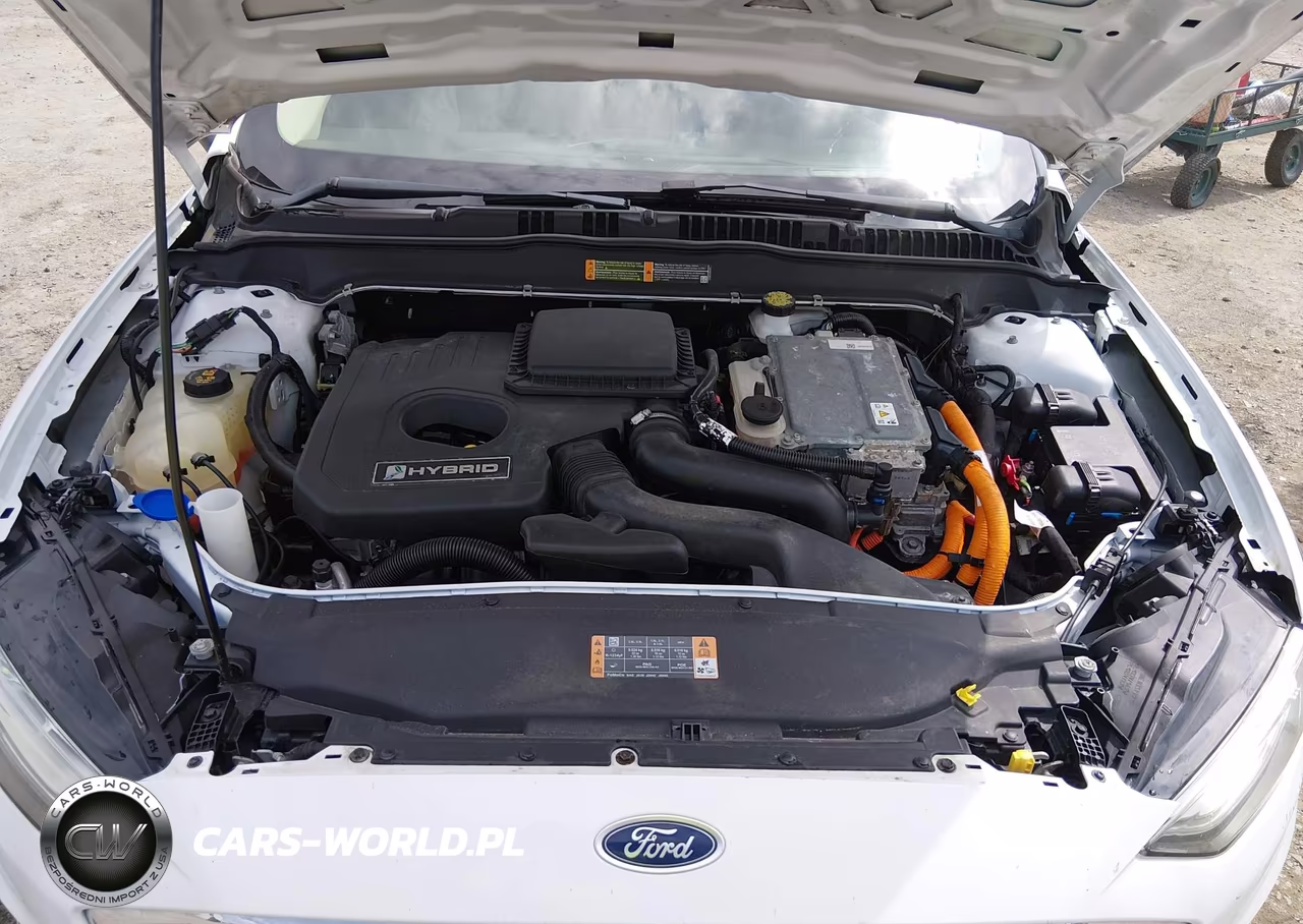2019 Ford Fusion Hybrid Se VIN:3FA6P0LU4KR264013 - 10