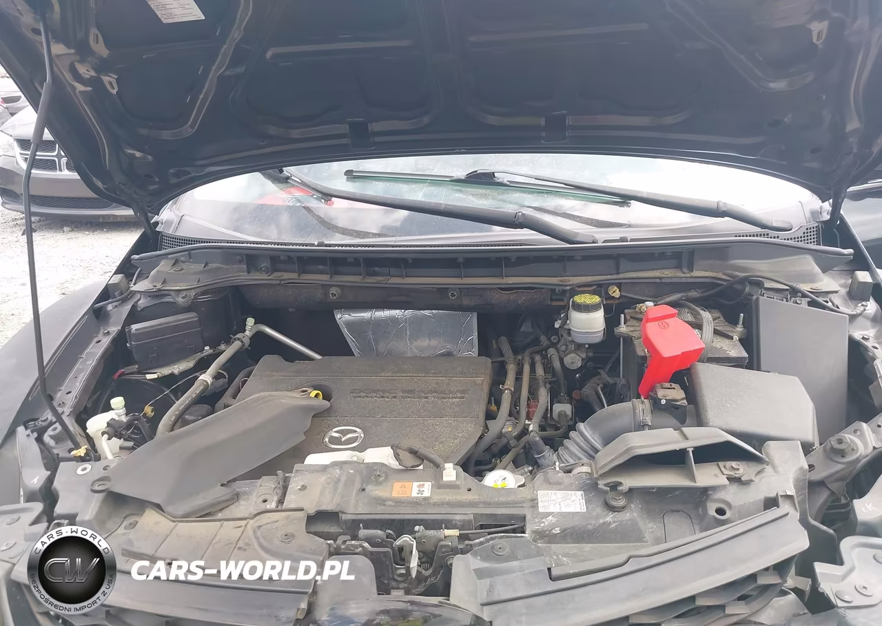 2010 Mazda Cx-7 I Sv VIN:JM3ER2W57A0321892 - 10