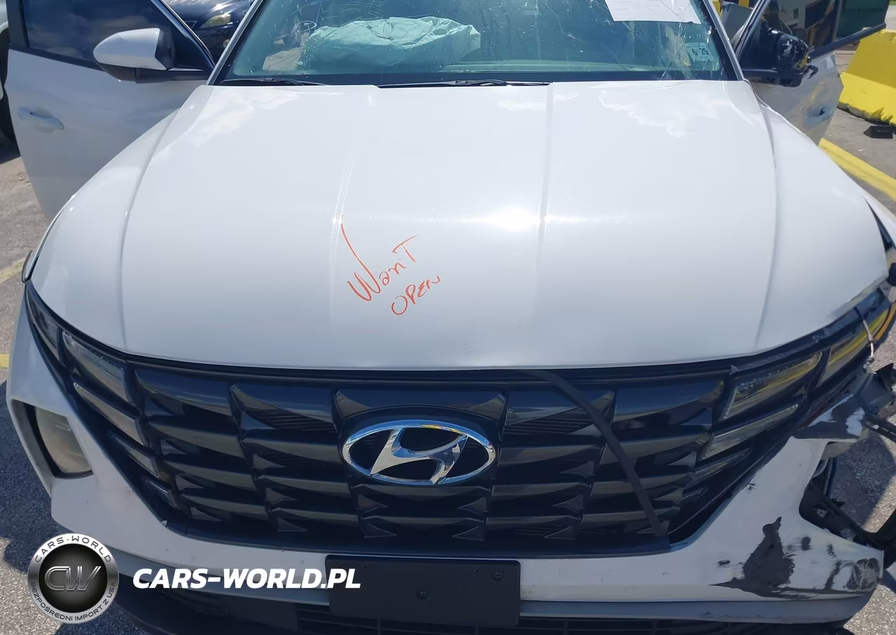 2024 Hyundai Tucson Sel VIN:5NMJBCDEXRH428113 - 10