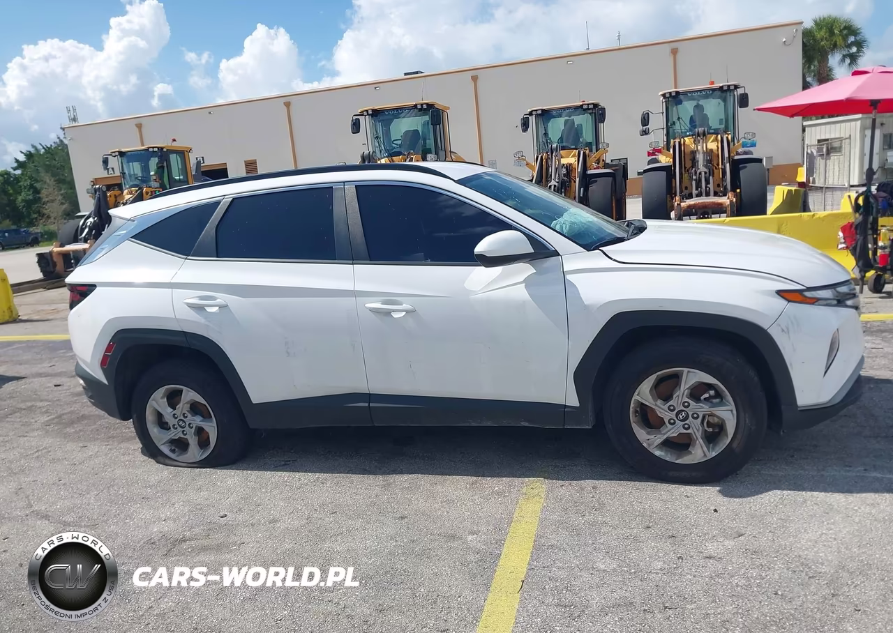 2024 Hyundai Tucson Sel VIN:5NMJBCDEXRH428113 - 13