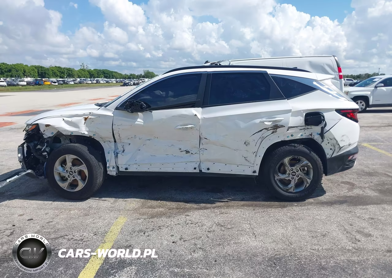 2024 Hyundai Tucson Sel VIN:5NMJBCDEXRH428113 - 14