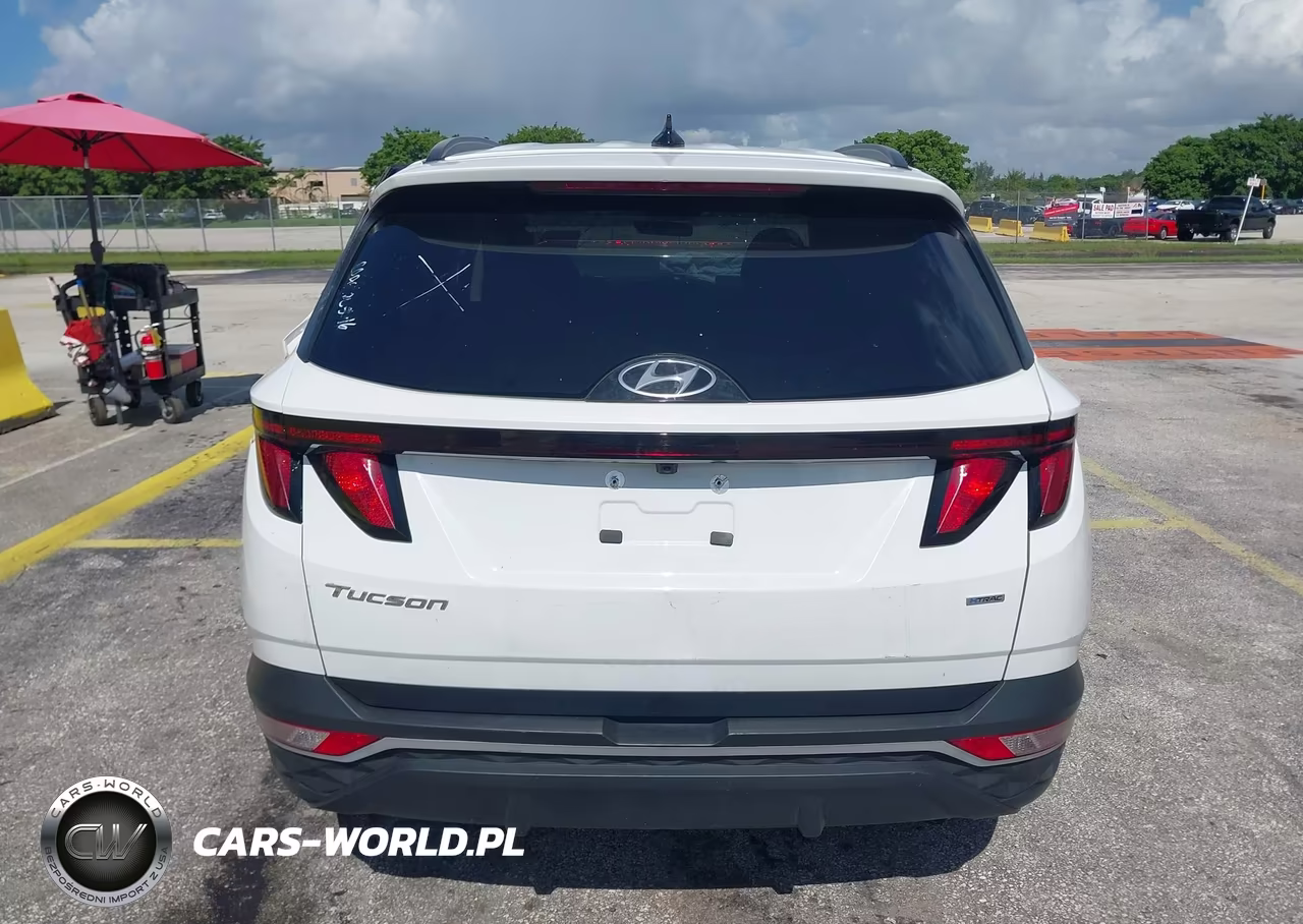 2024 Hyundai Tucson Sel VIN:5NMJBCDEXRH428113 - 16