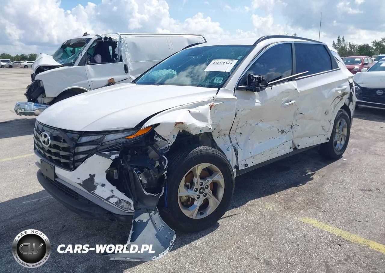 2024 Hyundai Tucson Sel VIN:5NMJBCDEXRH428113 - 2