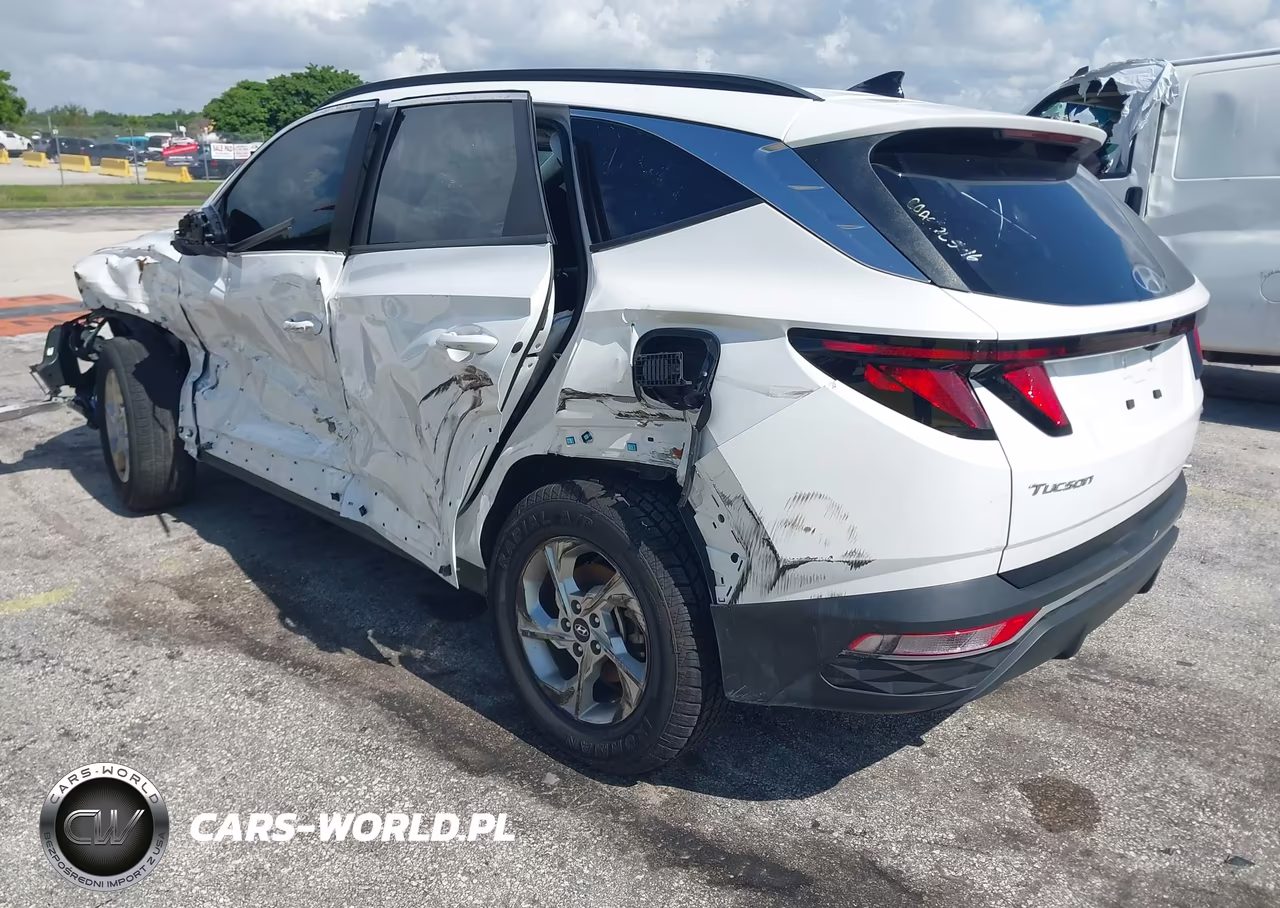 2024 Hyundai Tucson Sel VIN:5NMJBCDEXRH428113 - 3