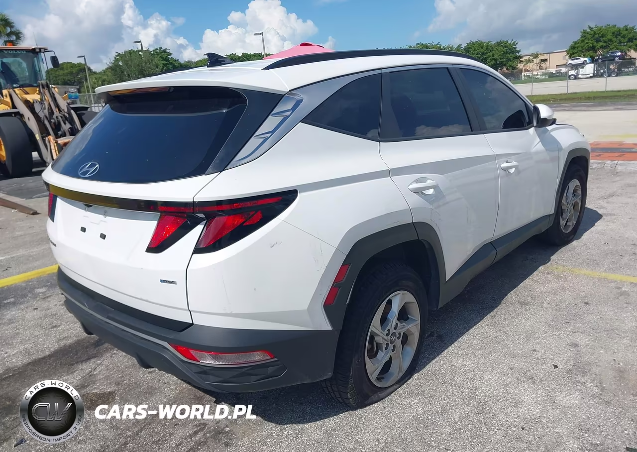 2024 Hyundai Tucson Sel VIN:5NMJBCDEXRH428113 - 4