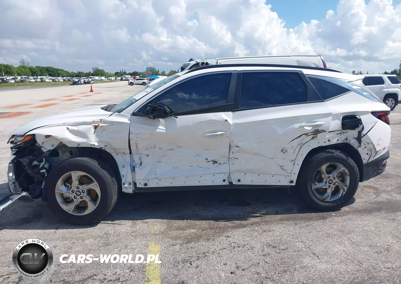2024 Hyundai Tucson Sel VIN:5NMJBCDEXRH428113 - 6