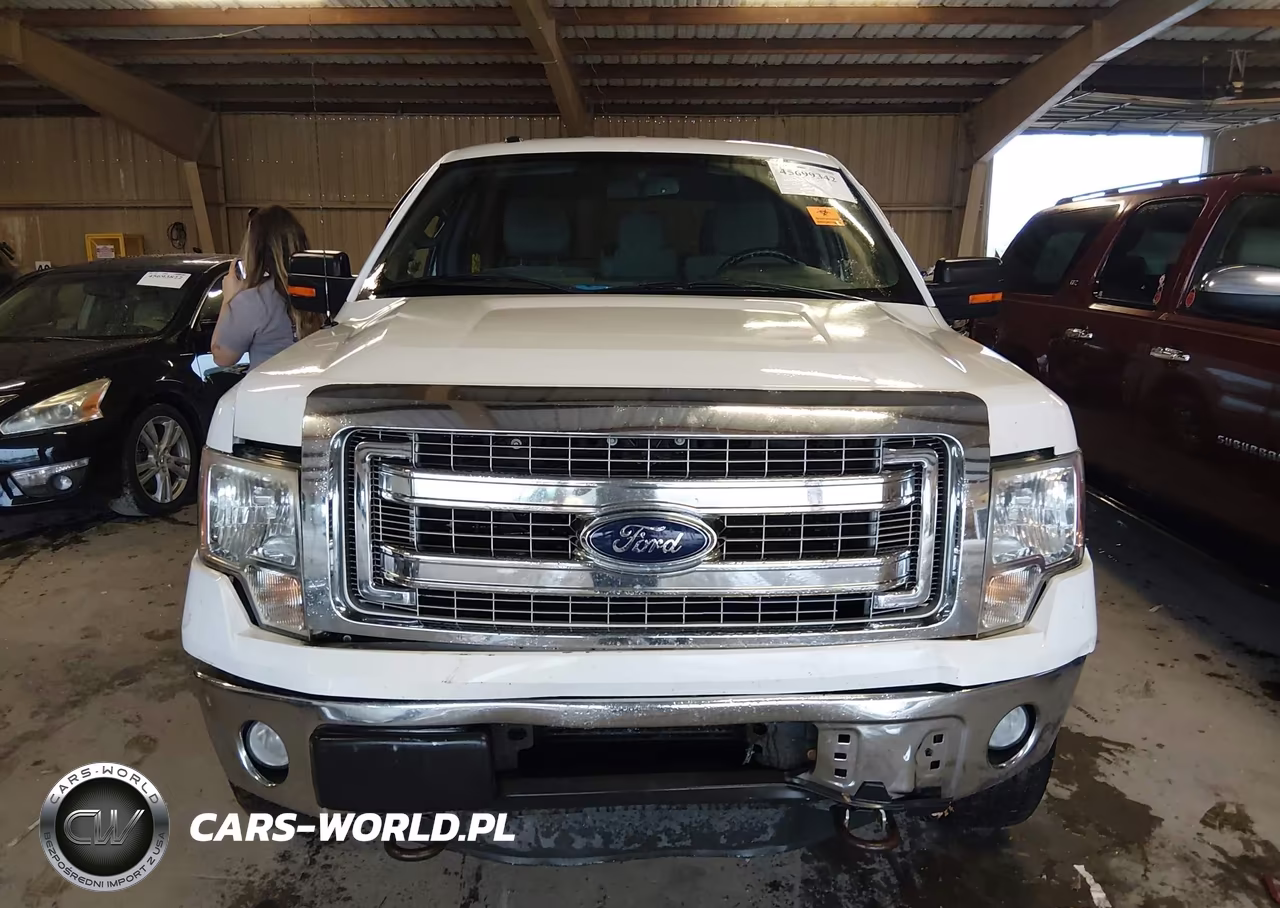2013 Ford F-150 Xlt VIN:1FTFW1ET0DKE76390 - 12