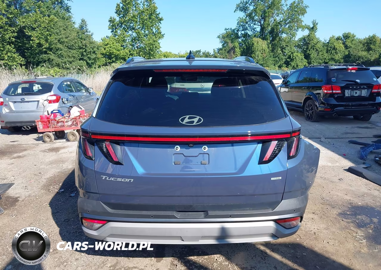 2025 Hyundai Tucson Limited VIN:5NMJECDE3SH594678 - 17