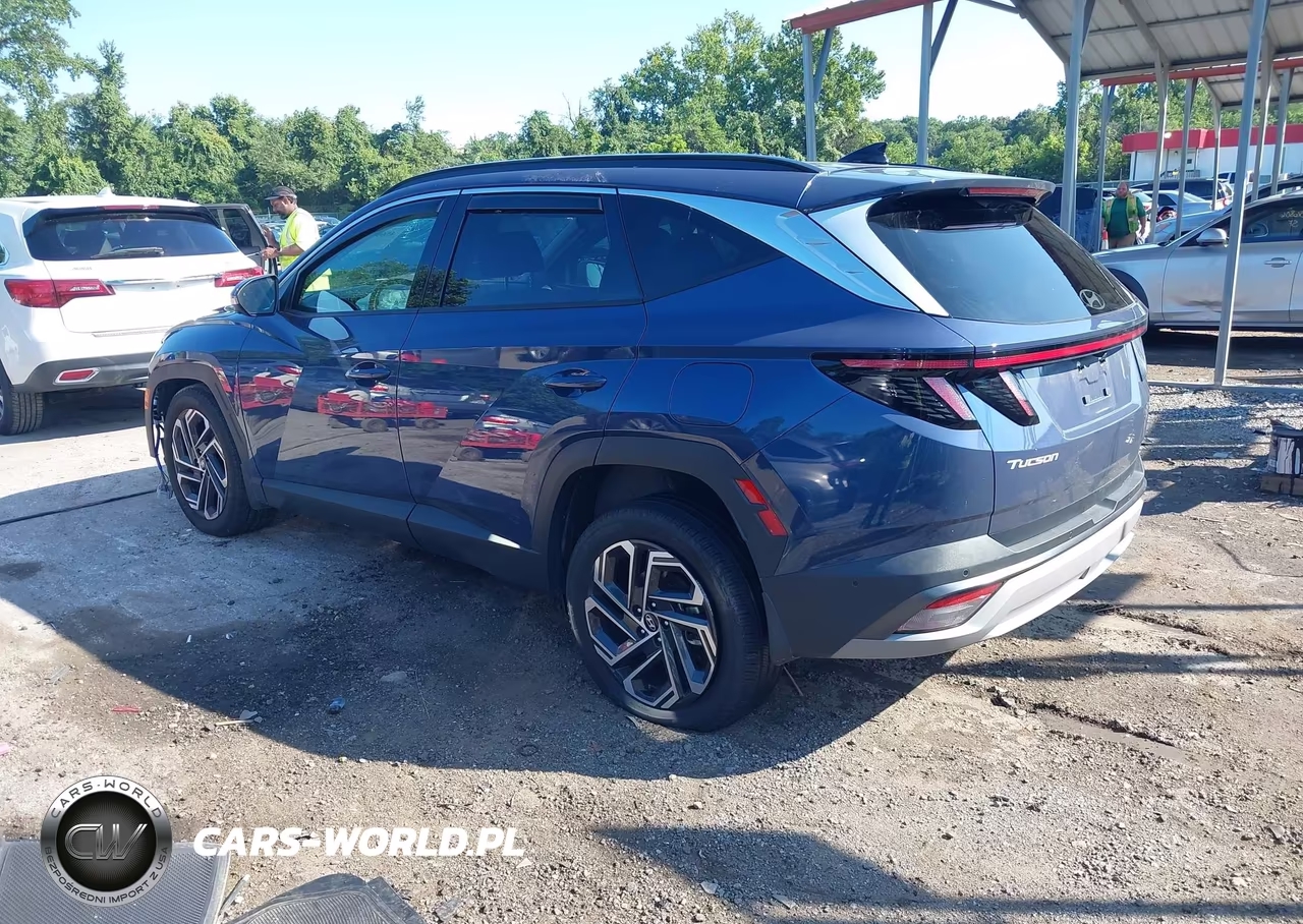 2025 Hyundai Tucson Limited VIN:5NMJECDE3SH594678 - 3