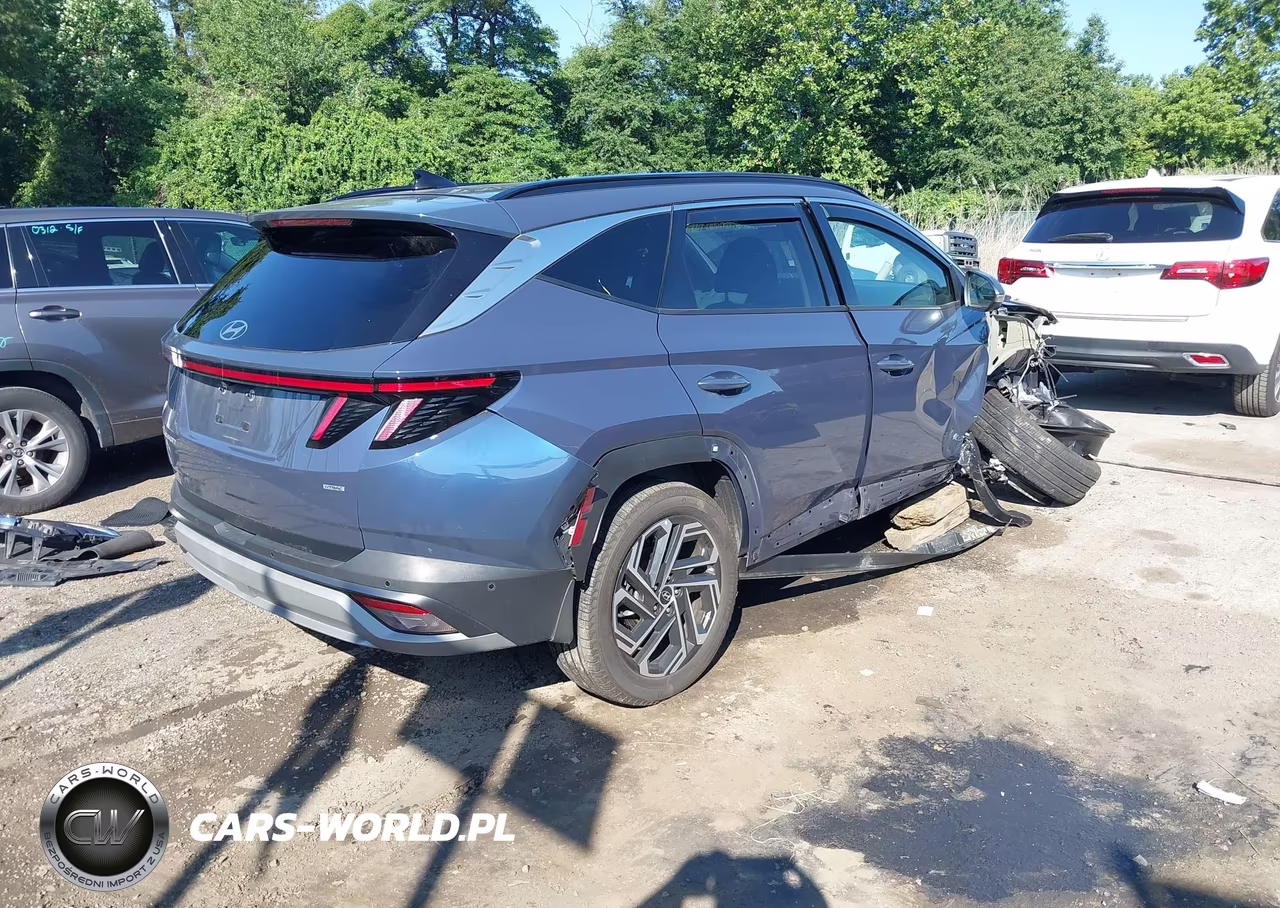 2025 Hyundai Tucson Limited VIN:5NMJECDE3SH594678 - 4