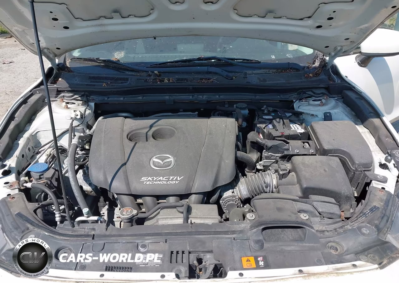2014 Mazda Mazda3 I Sport VIN:JM1BM1U7XE1146921 - 10