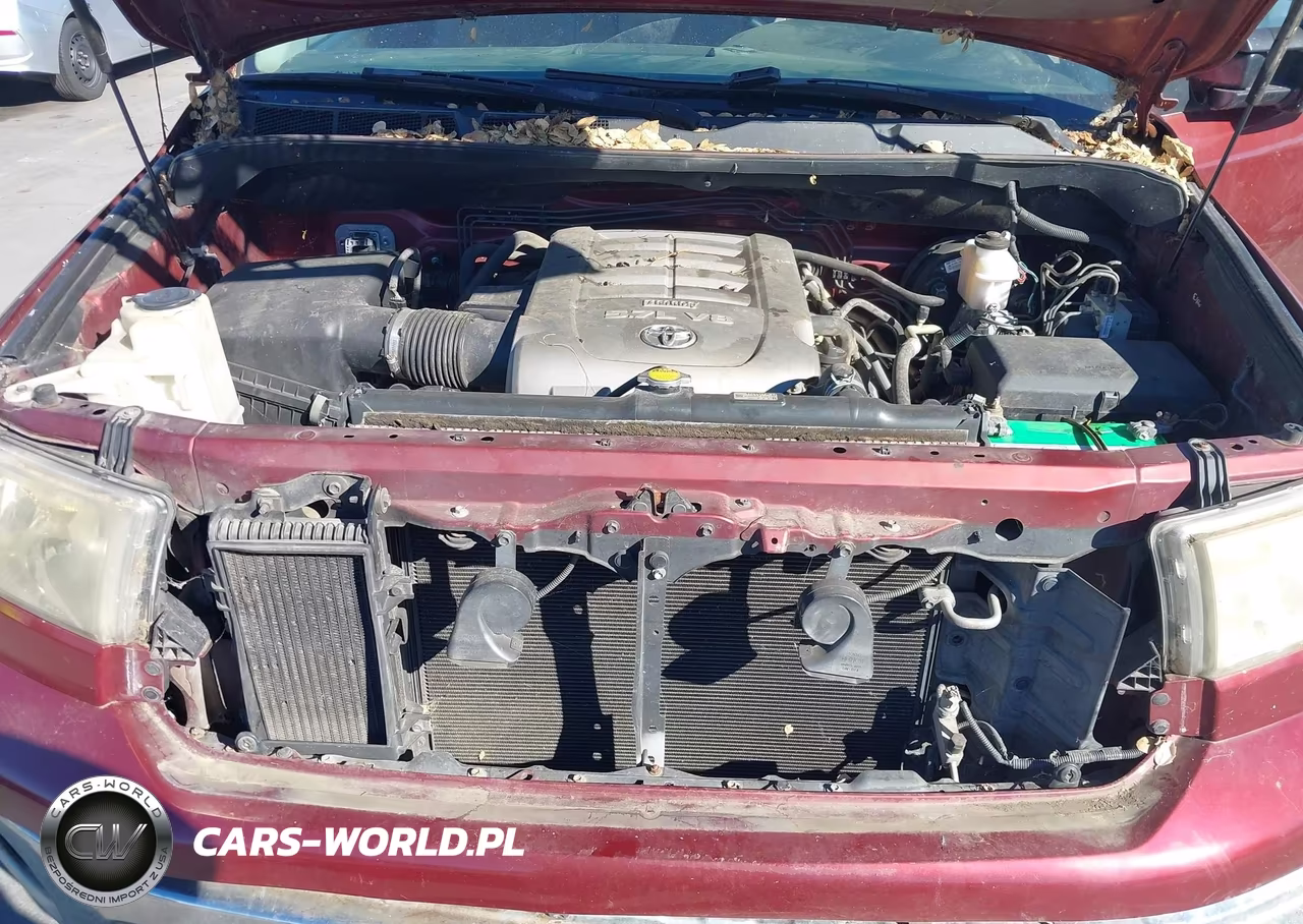 2007 Toyota Tundra Base 5.7L V8 VIN:5TFLV52137X004403 - 10