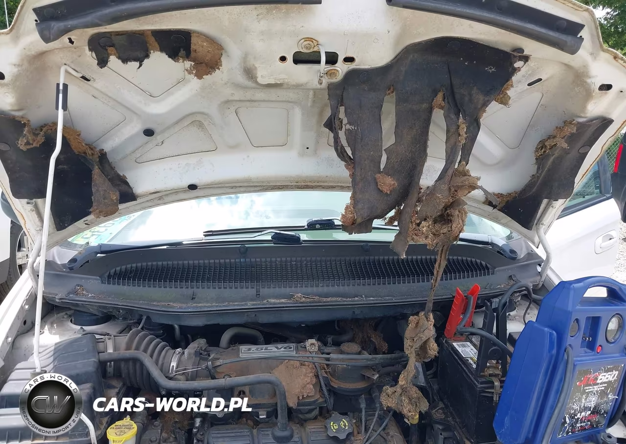 2005 Dodge Grand Caravan Sxt VIN:2D4GP44L85R216300 - 15