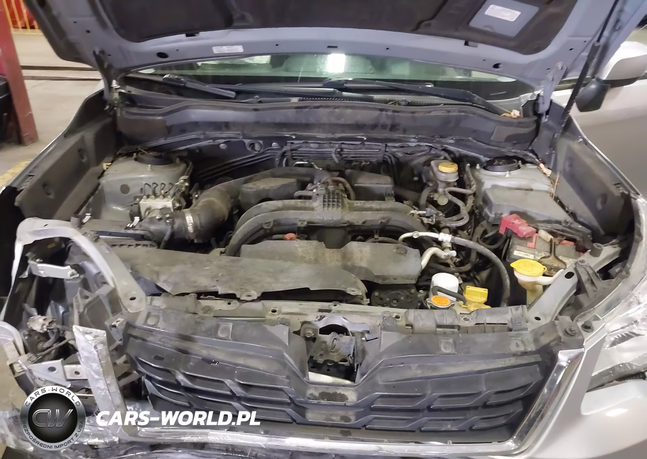 2017 Subaru Forester 2.5I Premium VIN:JF2SJAEC6HH526162 - 10