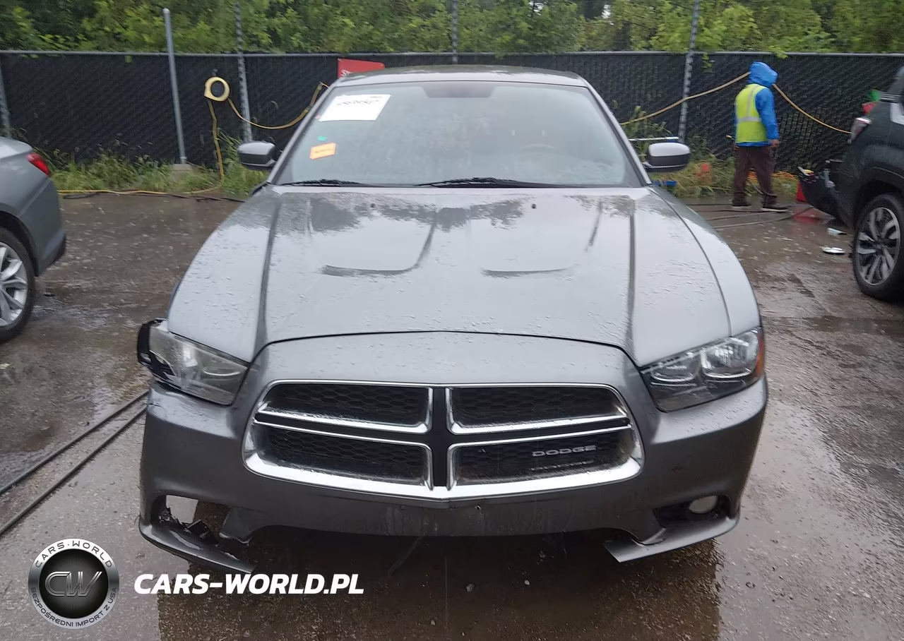 2012 Dodge Charger Sxt VIN:2C3CDXHG9CH184466 - 12