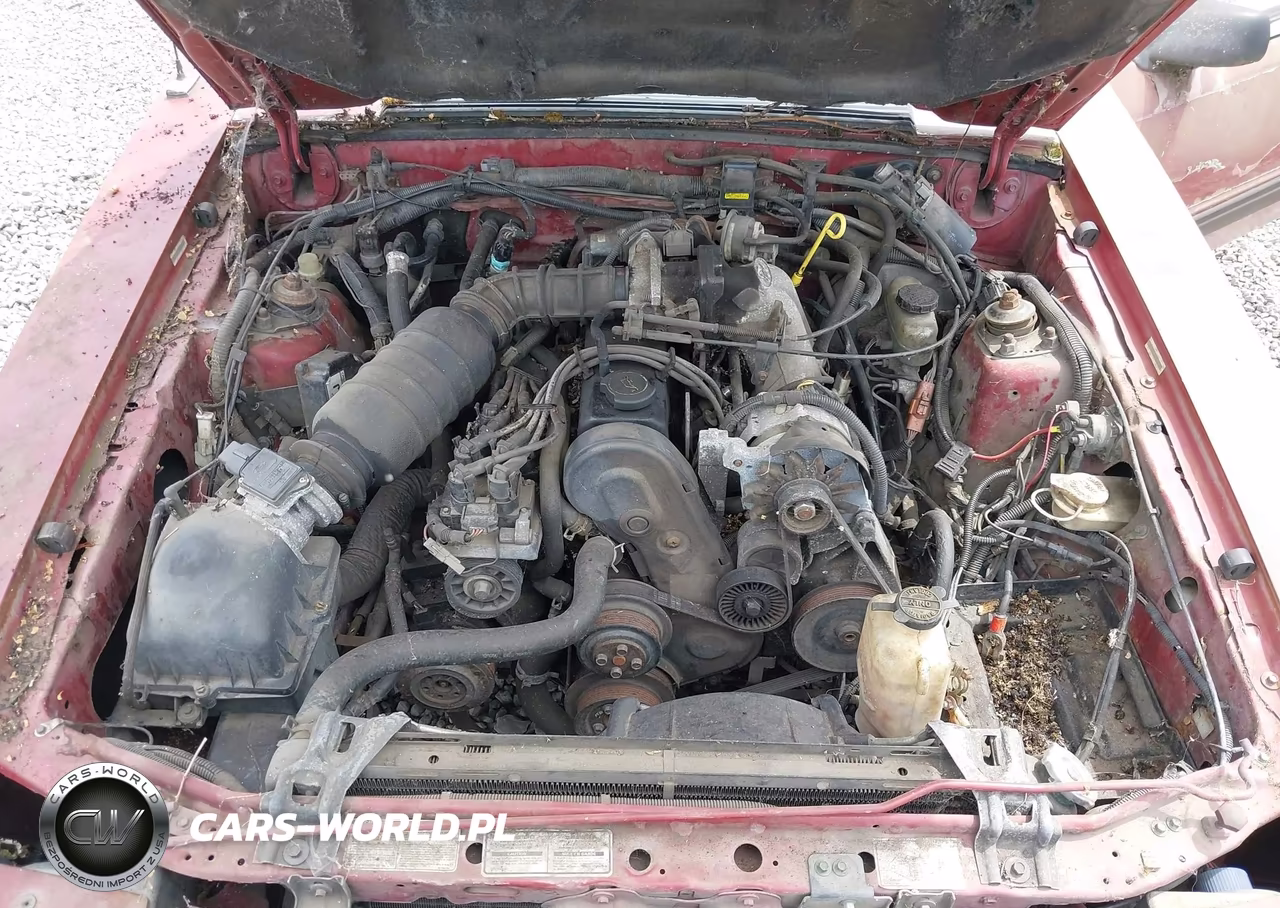 1991 Ford Mustang Lx VIN:1FACP41M9MF174417 - 10