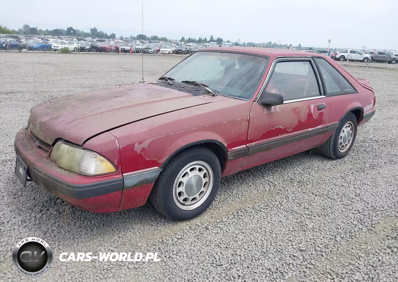 1991 Ford Mustang Lx VIN:1FACP41M9MF174417 - 2