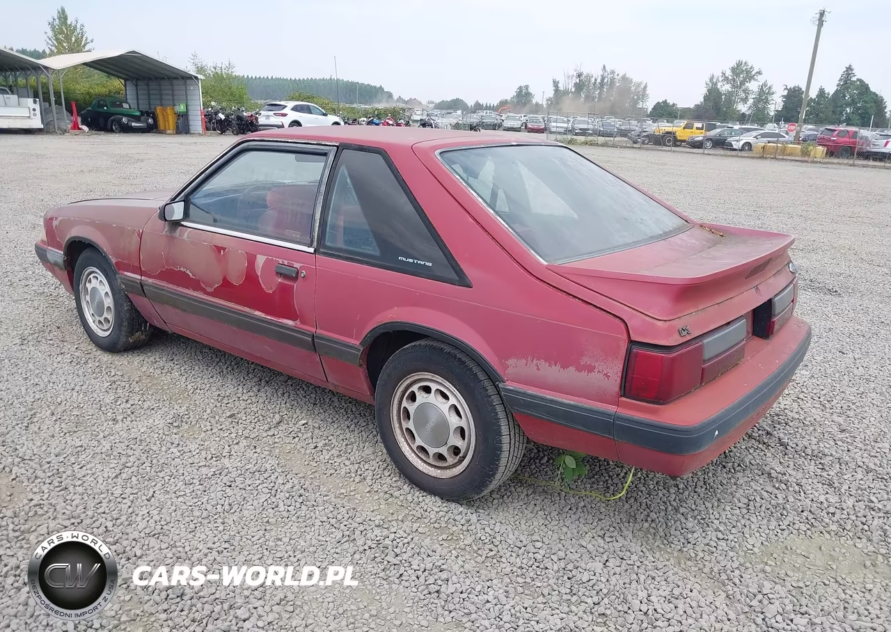 1991 Ford Mustang Lx VIN:1FACP41M9MF174417 - 3