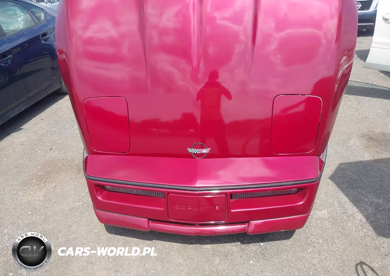 1989 Chevrolet Corvette VIN:1G1YY2185K5113596 - 6