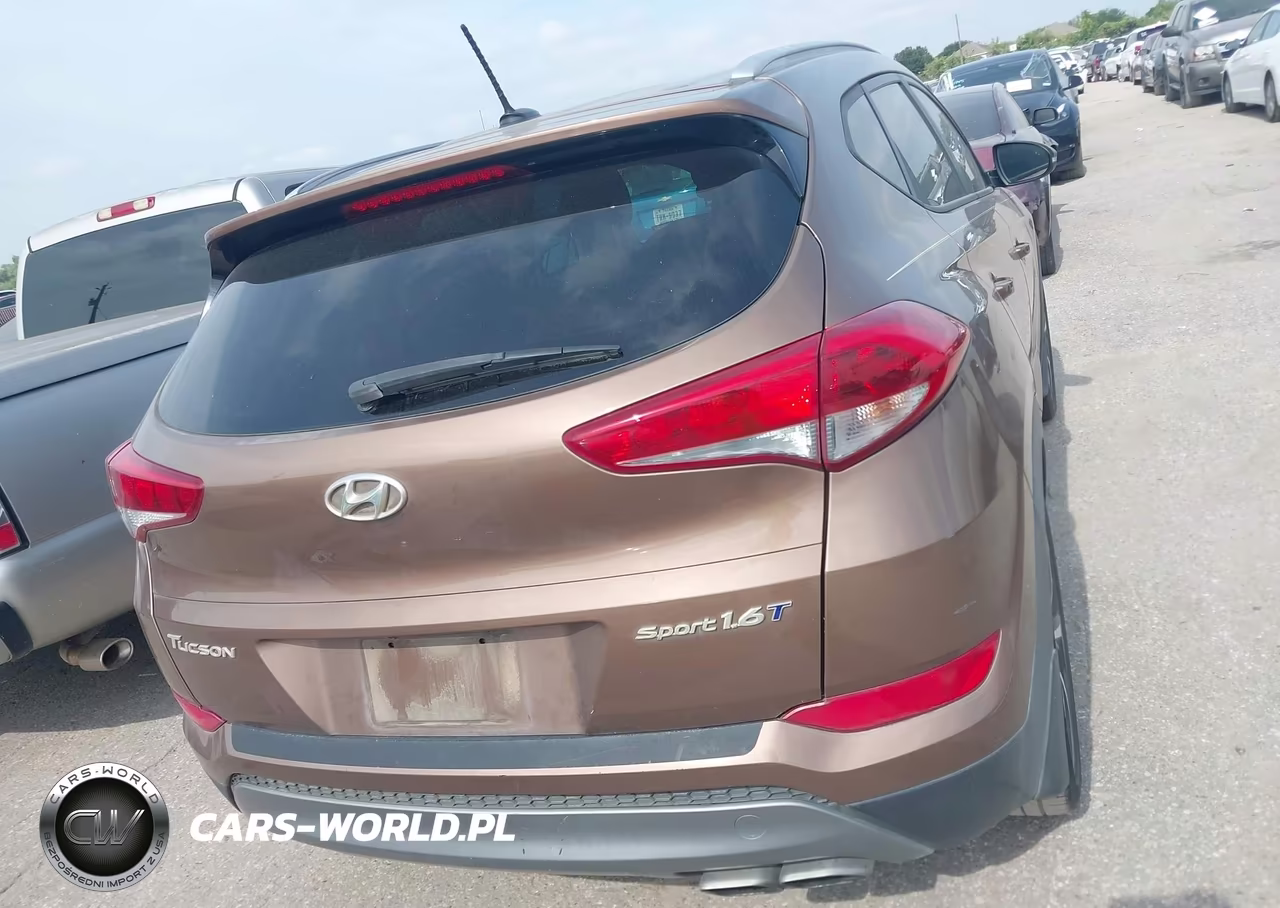 2016 Hyundai Tucson Sport VIN:KM8J33A28GU100990 - 16
