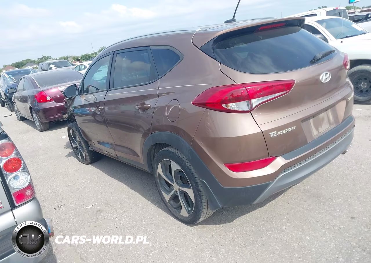 2016 Hyundai Tucson Sport VIN:KM8J33A28GU100990 - 3