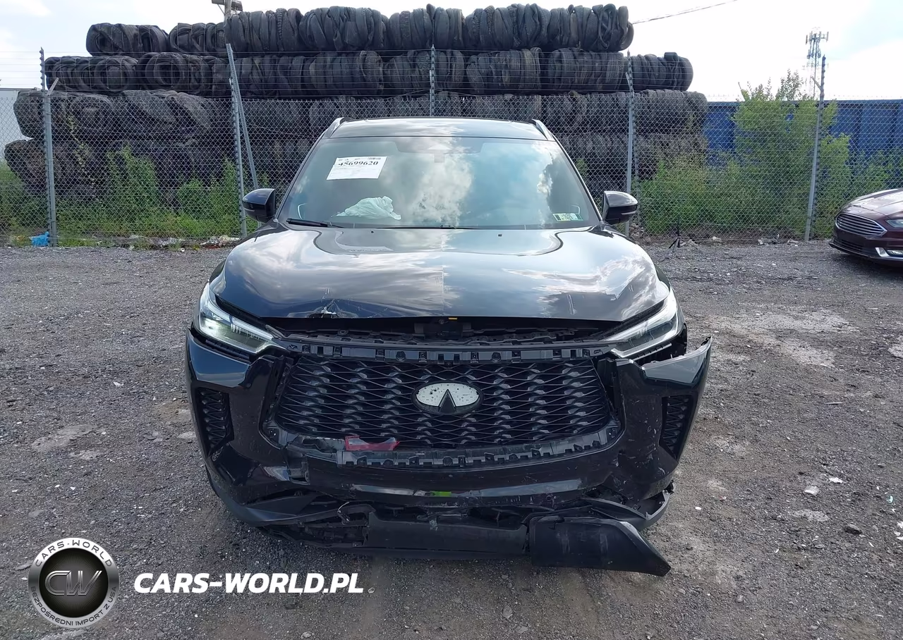 2025 Infiniti Qx60 Luxe Awd VIN:5N1AL1FS9SC336642 - 12