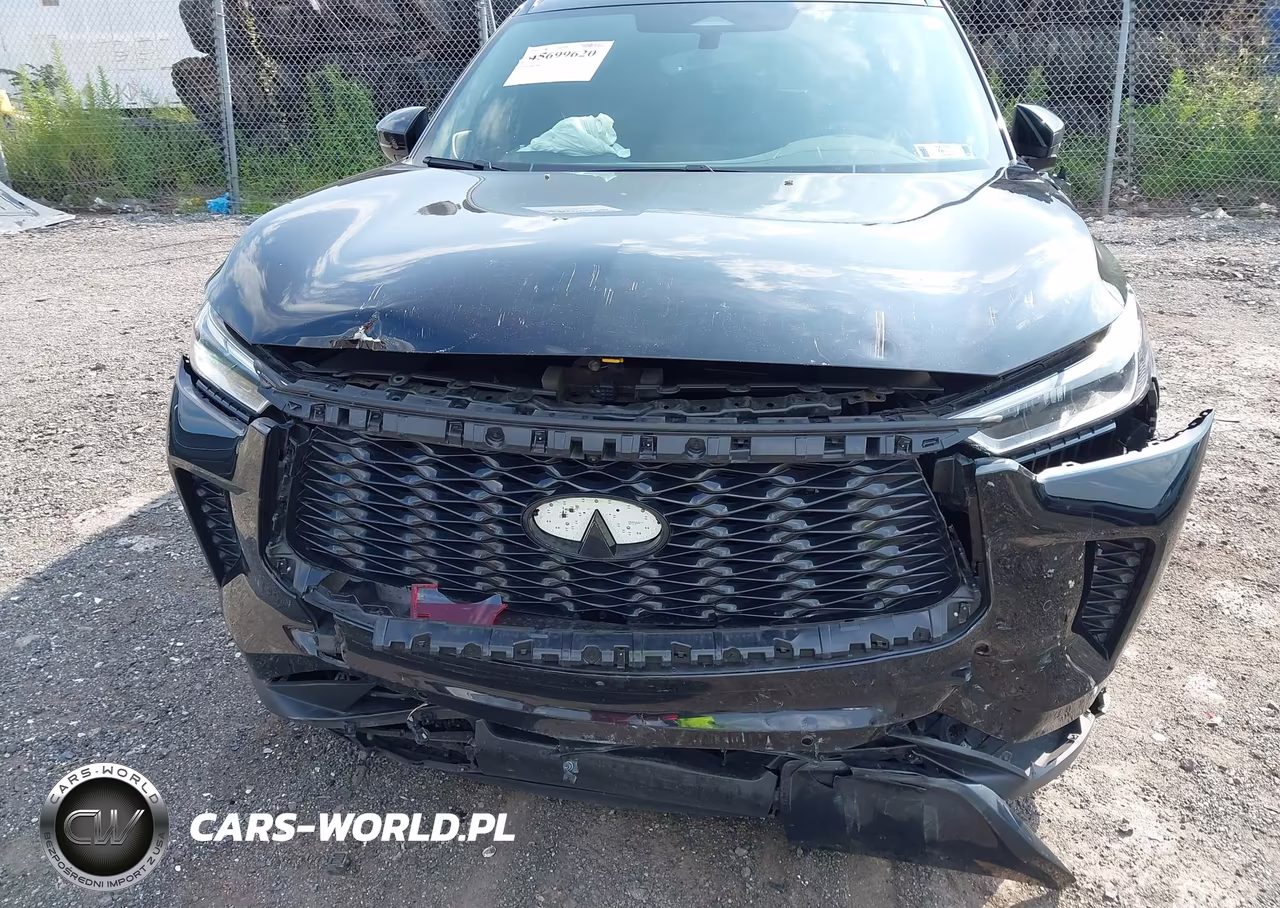 2025 Infiniti Qx60 Luxe Awd VIN:5N1AL1FS9SC336642 - 6