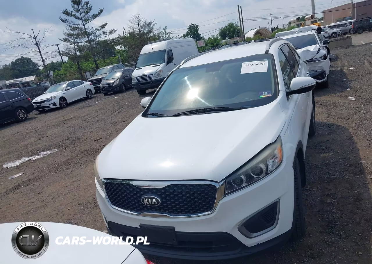 2016 Kia Sorento 3.3L Lx VIN:5XYPGDA52GG030505 - 12