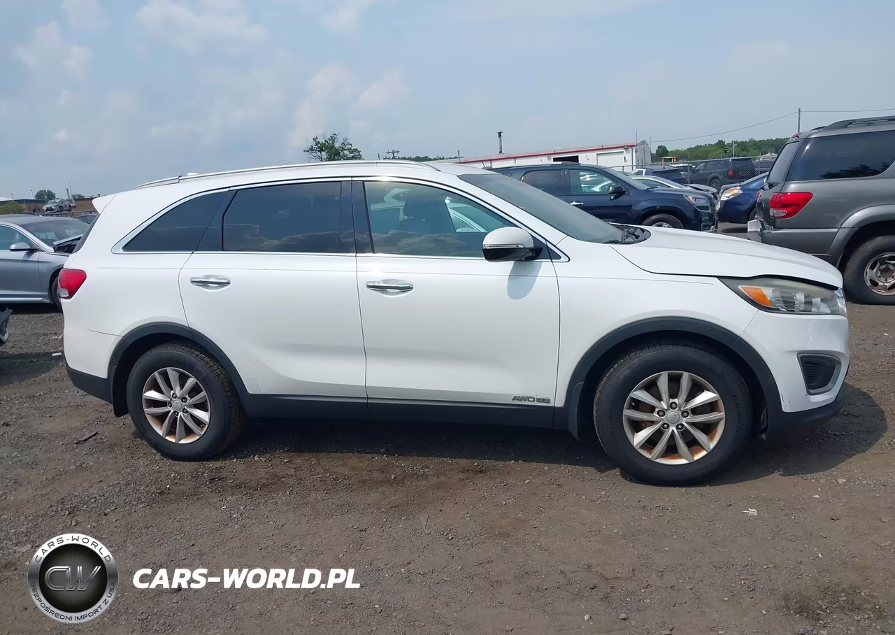 2016 Kia Sorento 3.3L Lx VIN:5XYPGDA52GG030505 - 13