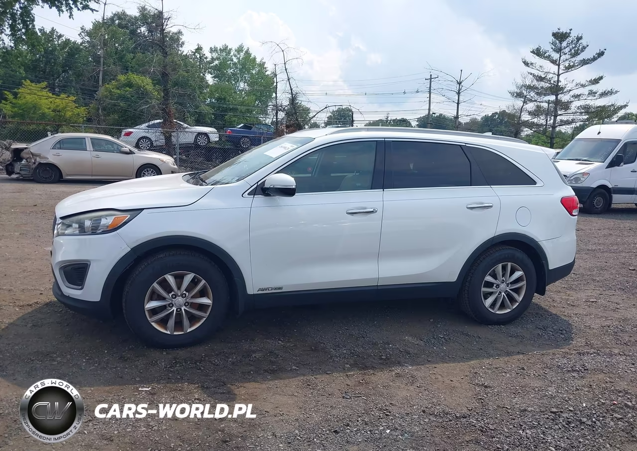 2016 Kia Sorento 3.3L Lx VIN:5XYPGDA52GG030505 - 14