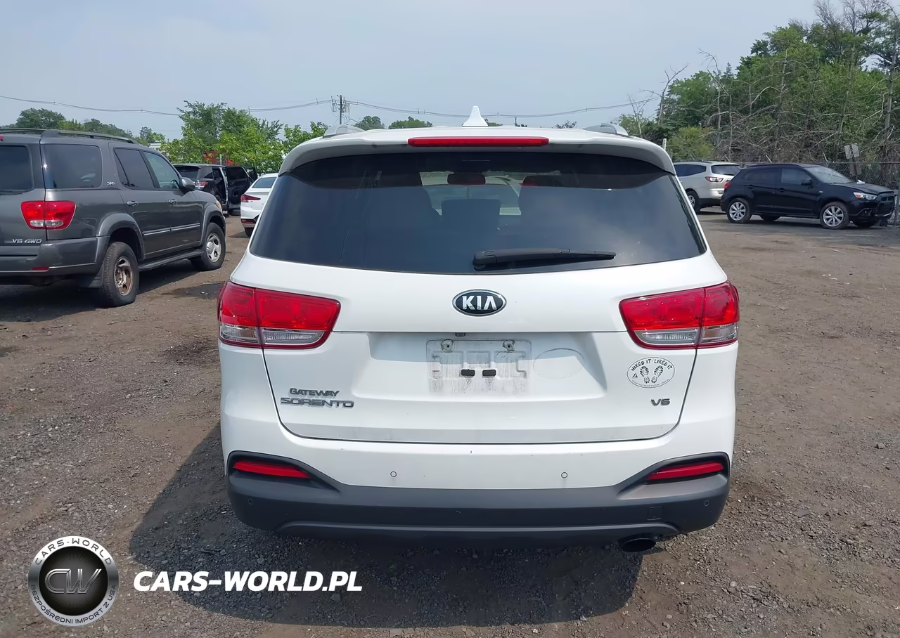 2016 Kia Sorento 3.3L Lx VIN:5XYPGDA52GG030505 - 16