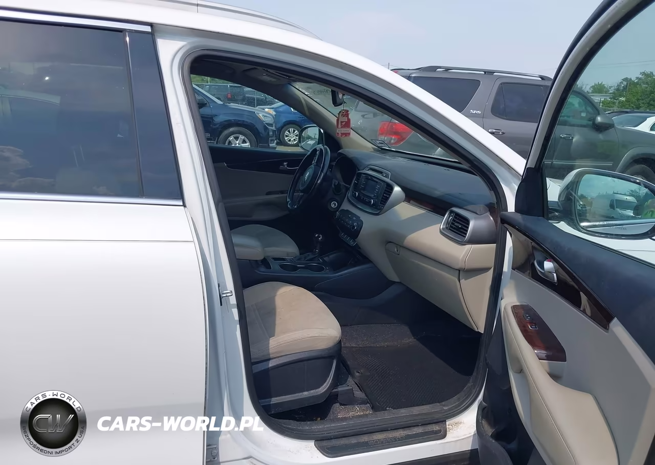 2016 Kia Sorento 3.3L Lx VIN:5XYPGDA52GG030505 - 5