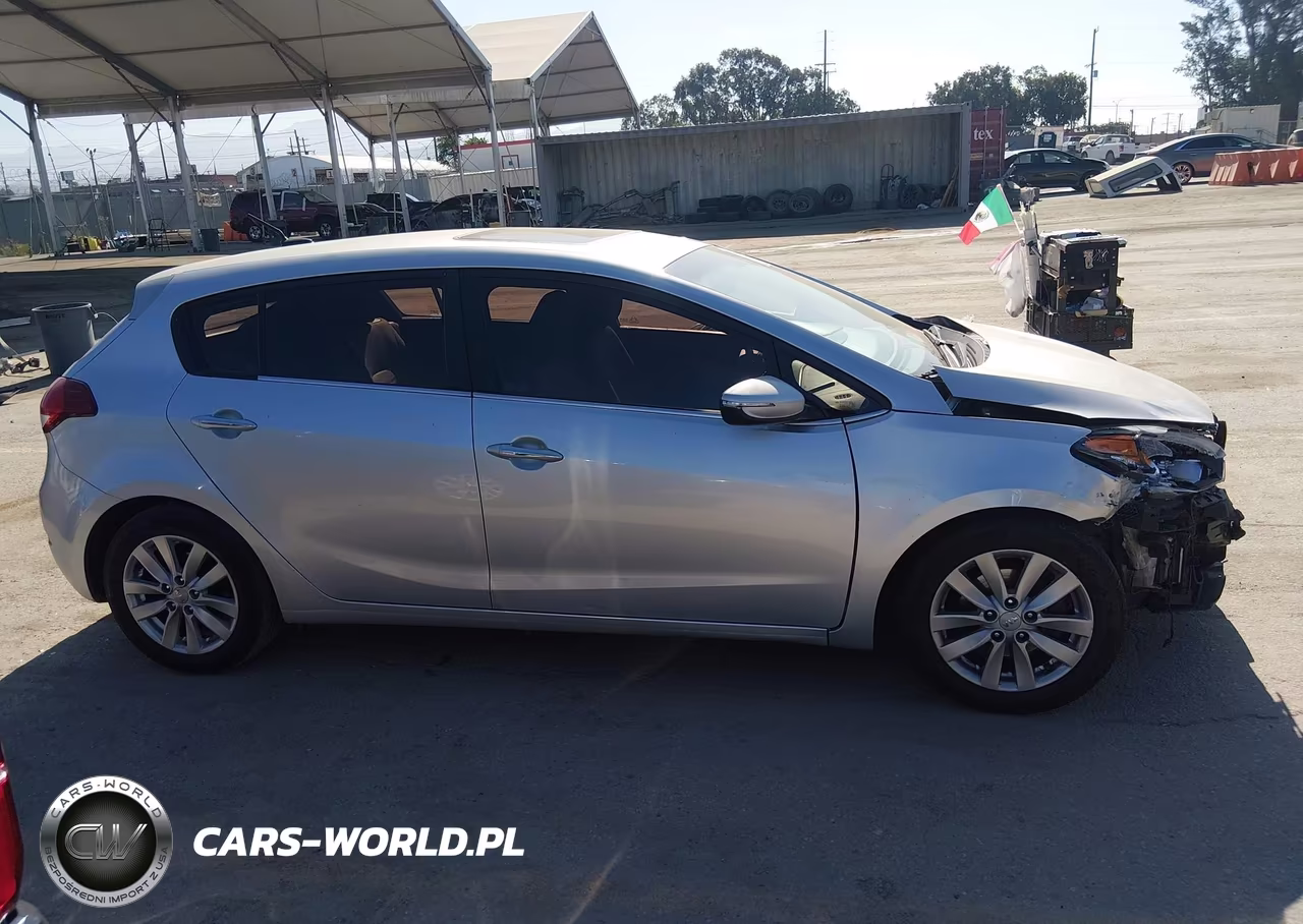 2015 Kia Forte Ex VIN:KNAFX5A89F5302774 - 13