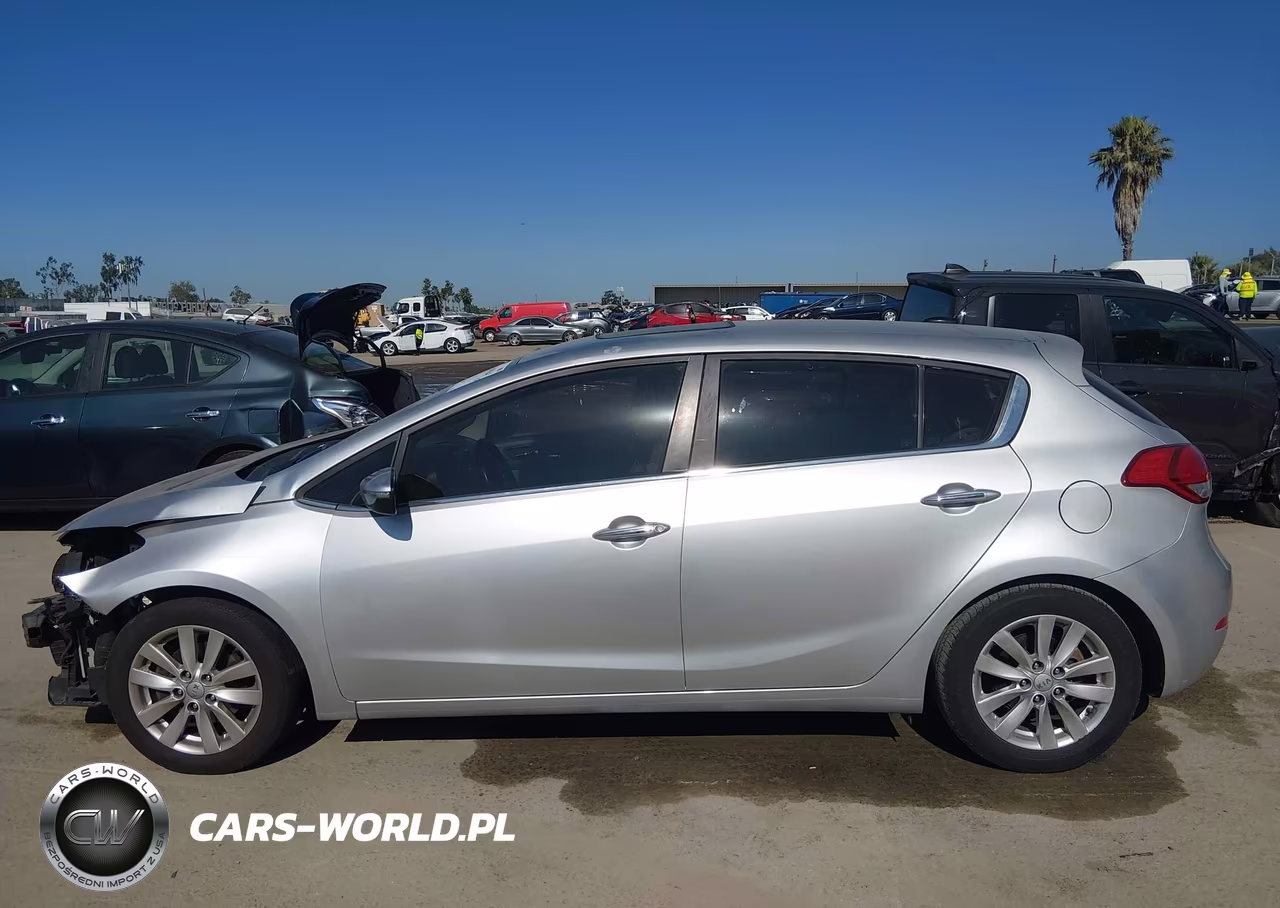 2015 Kia Forte Ex VIN:KNAFX5A89F5302774 - 14