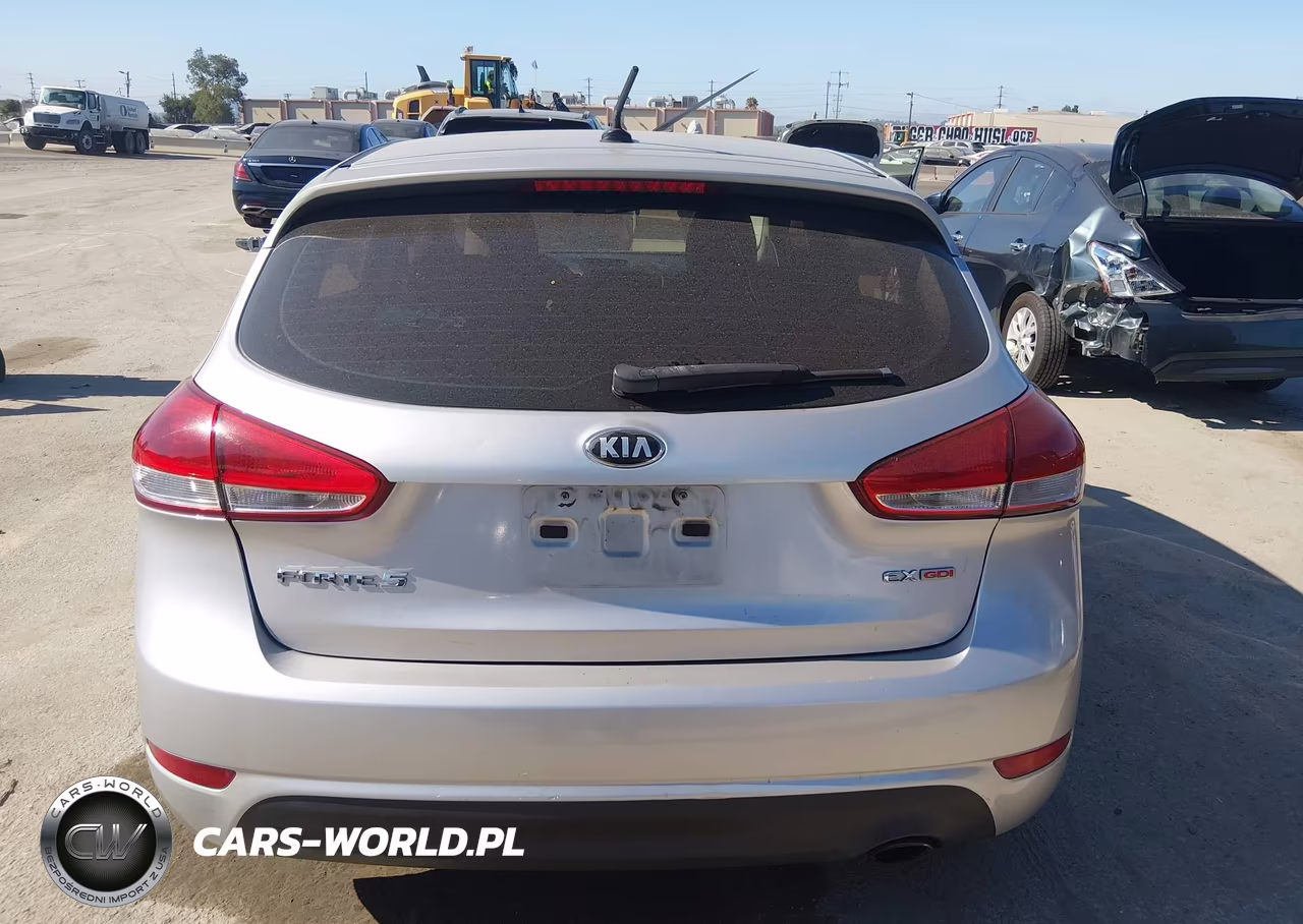 2015 Kia Forte Ex VIN:KNAFX5A89F5302774 - 16