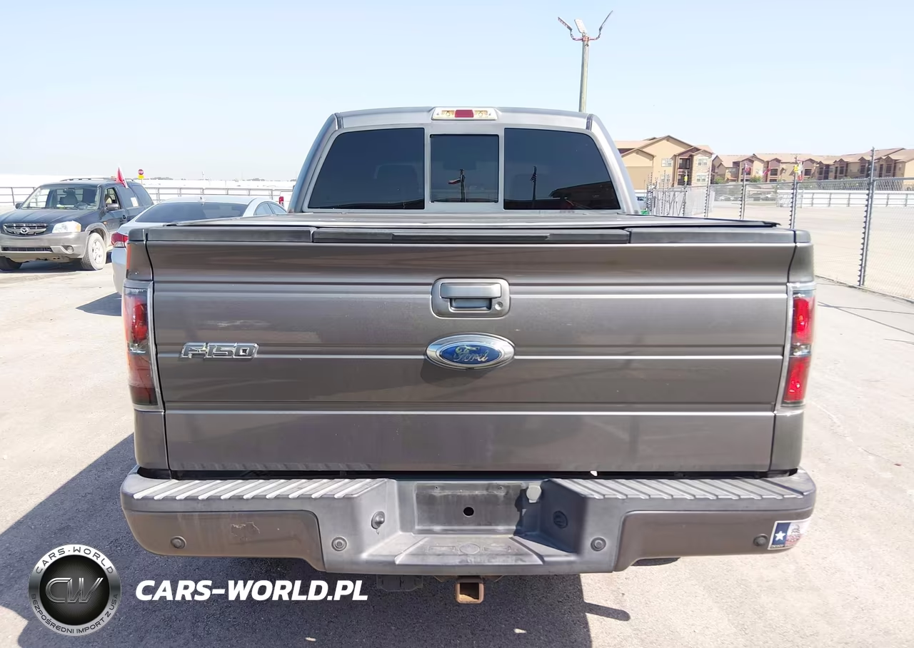 2009 Ford F-150 Fx4-King Ranch-Lariat-Platinum-Xl-Xlt VIN:1FTPW14V49KC75624 - 16