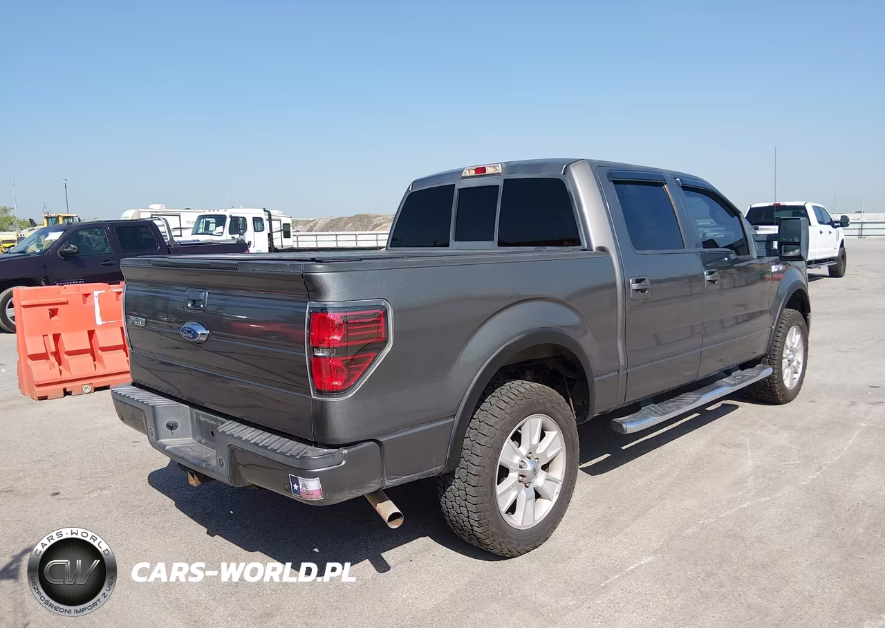 2009 Ford F-150 Fx4-King Ranch-Lariat-Platinum-Xl-Xlt VIN:1FTPW14V49KC75624 - 4