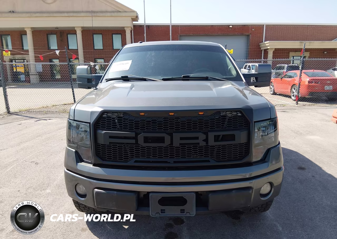2009 Ford F-150 Fx4-King Ranch-Lariat-Platinum-Xl-Xlt VIN:1FTPW14V49KC75624 - 6
