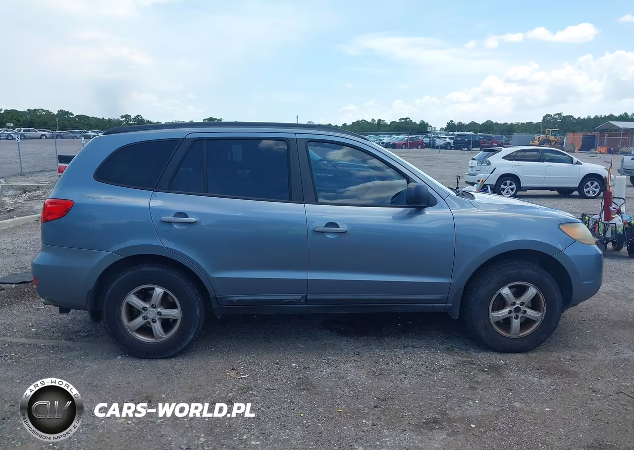 2009 Hyundai Santa Fe Gls VIN:5NMSG13DX9H275428 - 13
