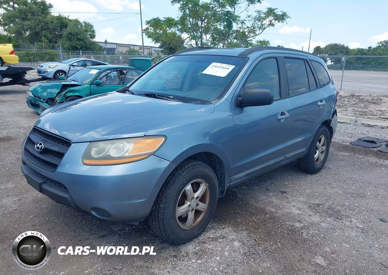 2009 Hyundai Santa Fe Gls VIN:5NMSG13DX9H275428 - 2