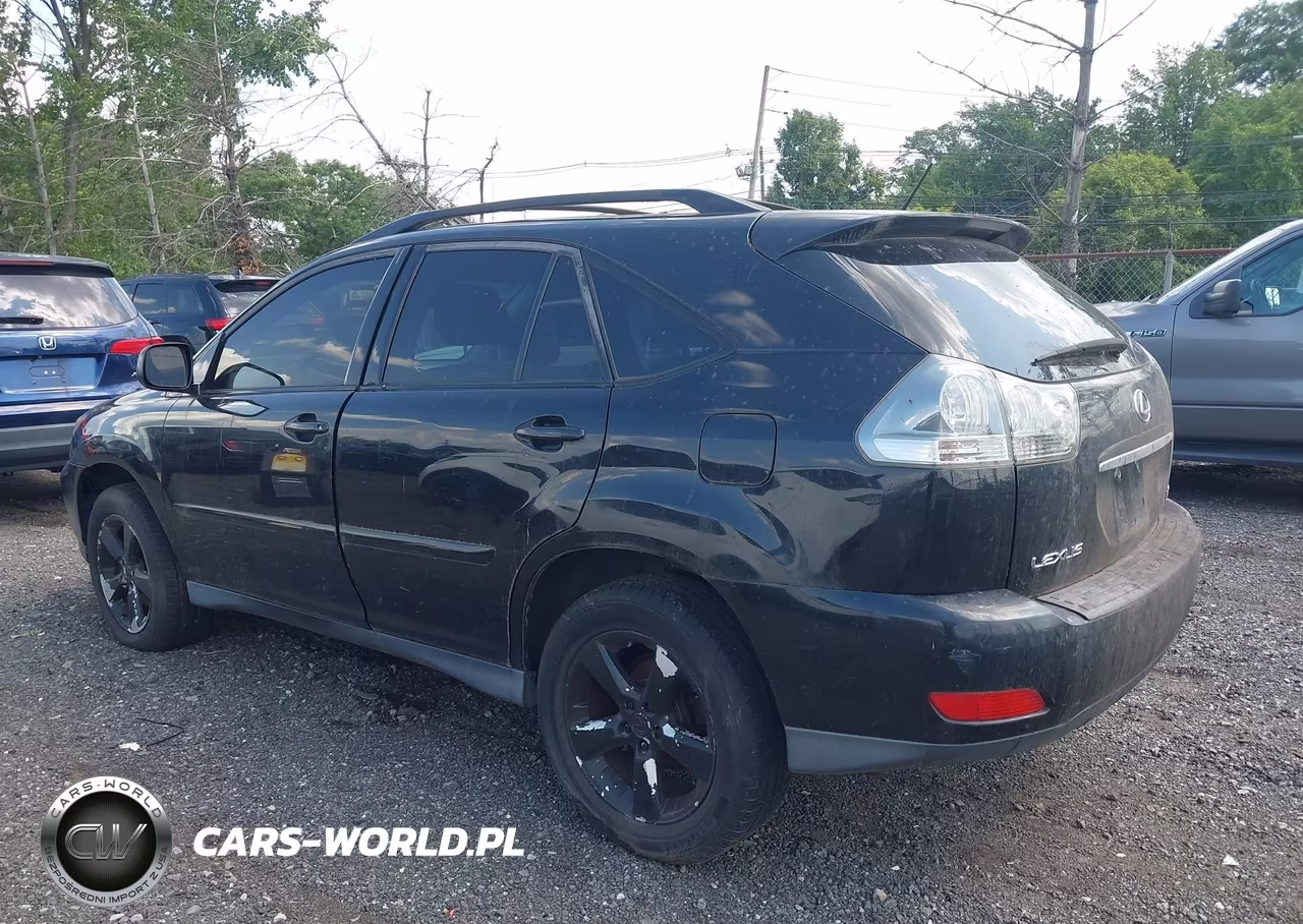 2004 Lexus Rx 330 VIN:JTJGA31U340006070 - 12